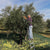 Authentic Croatian Olive Oil x 3